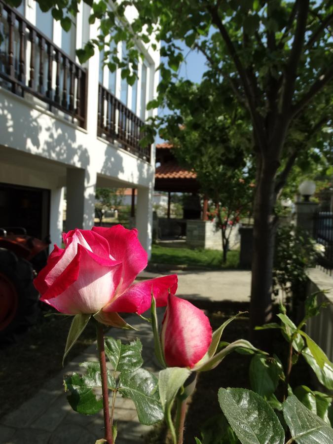 Christakos Apartments Vrasná 외부 사진